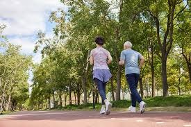 兰迪·强森在 40 岁高龄投出完全比赛，证明了长青树的传奇品质