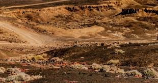 角田裕毅发誓：必将重返F1